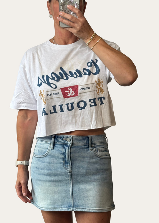 Peyton Denim Mini Skirt - Vintage